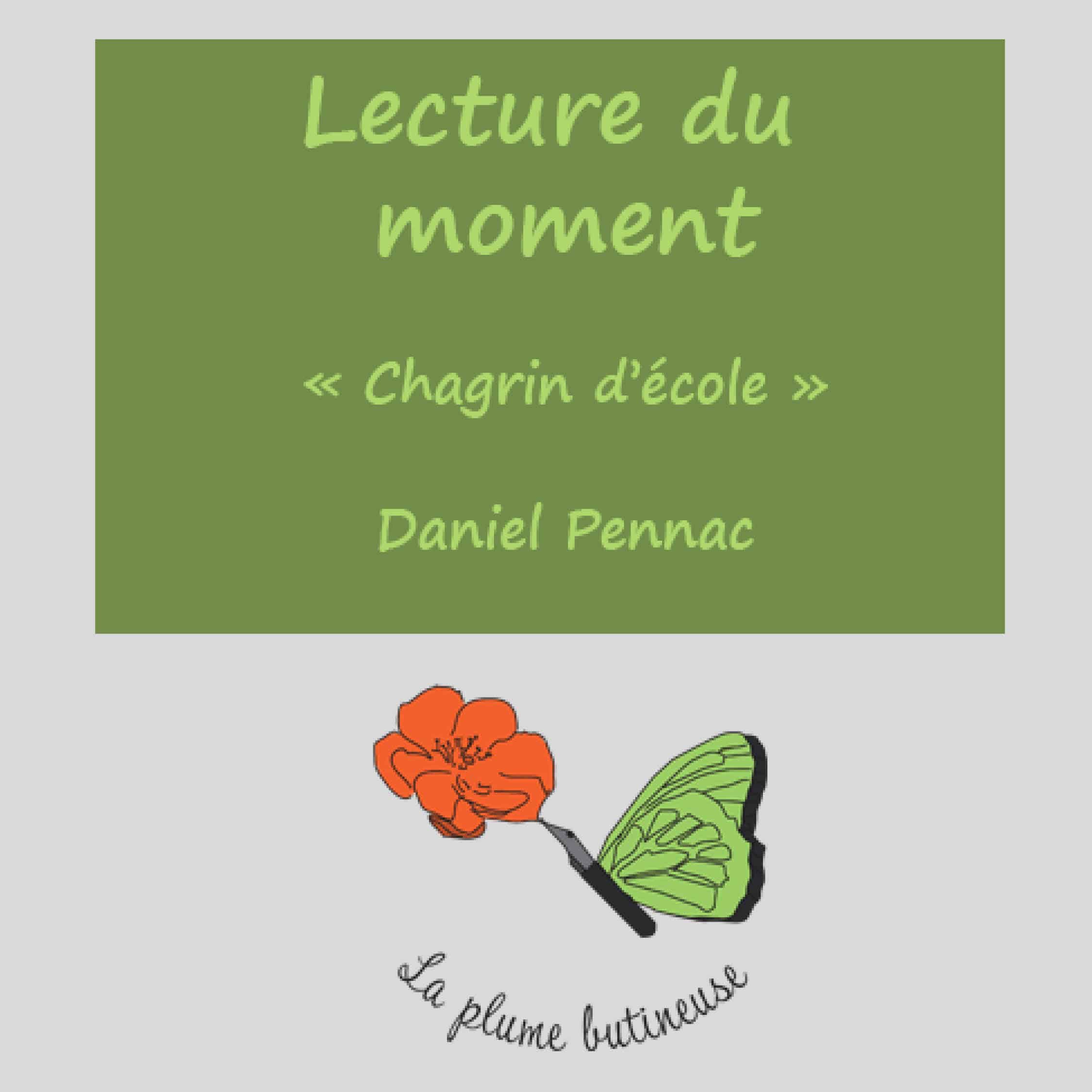Lecture du livre de Daniel Pennac "Chagrin d'école"